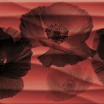 DECOR WAVES red